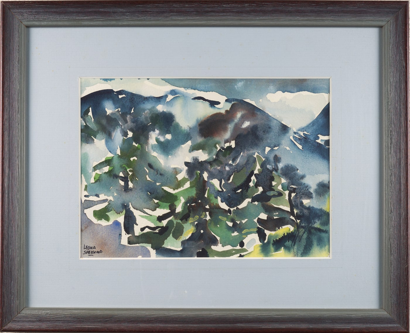 Mountain Forest