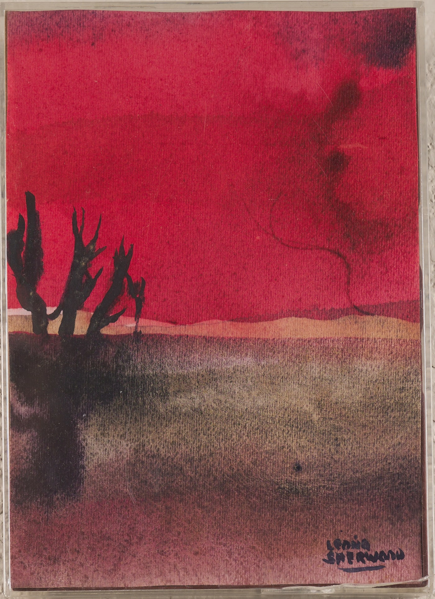 Red Arizona Desert I