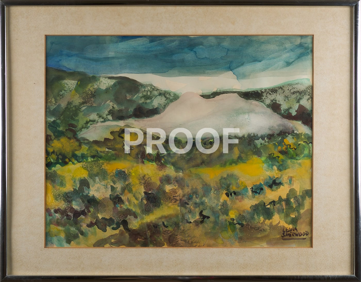 Arizona Landscape II