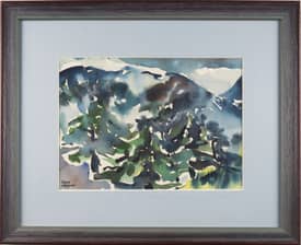 Mountain Forest