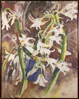 Spring Lilies
