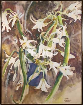 Spring Lilies