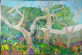 Painting in Sonoma